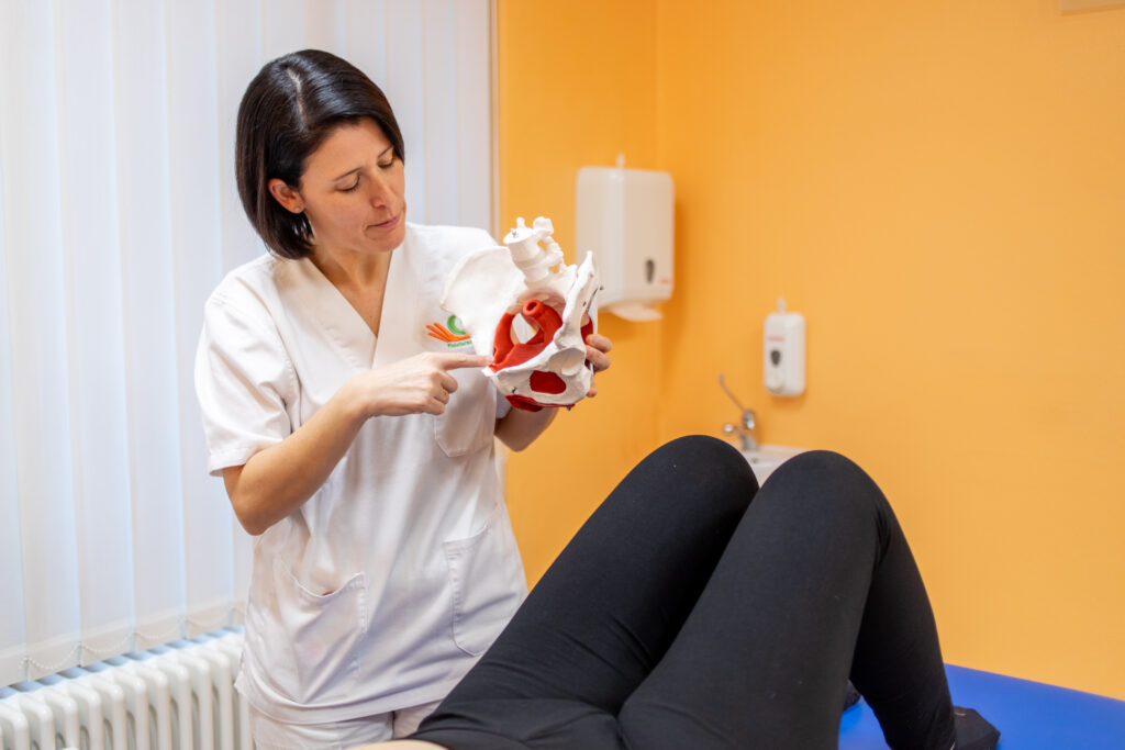 fisioterapista spiega pavimento pelvico a paziente